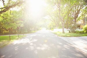 New survey to measure UK’s green economy